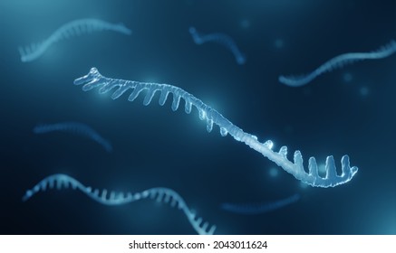 Micro RNA (miRNA) 3d illustration