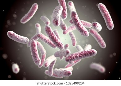 rod shaped bacterium images stock photos vectors shutterstock