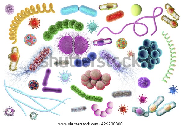 微生物 3d 插图 不同形状和病毒的细菌 葡萄球菌 链球菌 奈瑟菌 螺旋体 杆状 大肠杆菌 角质菌 褐藻菌和其他库存插图