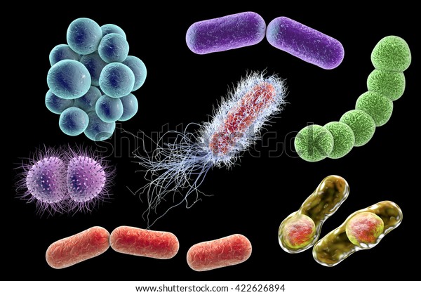 黒い背景に微生物 3dイラスト 形の違う細菌 ブドウ球菌 連鎖球菌 ネイセリア菌 クロストリジウム 棒状 大腸菌 クレブシエラ のイラスト素材