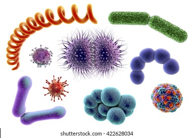 白い背景に微生物 3dイラスト 様々な形の細菌やウイルス ブドウ球菌 連鎖球菌 ネイセリア菌 トレポネマ菌 棒状大腸菌 クレブシエラ菌 のイラスト素材 Shutterstock