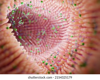 Microbiome Intestine Factories And Microbiota. Gut Health 3d Render. Microvilli With Factories In Intestine 