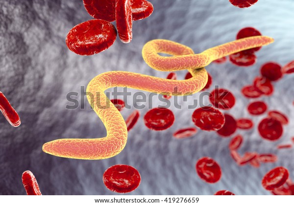 血液中にミクロフィラリア虫 3dイラスト フィラリア症や象皮病を引き起こす蚊によって感染する線虫寄生虫 のイラスト素材