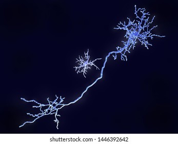 Microglia cell and neuron. Microglial cells are specialised macrophages. They are constantly scavenging the central neuron system for plaques, damaged neurons and infectious agents. 3d rendering