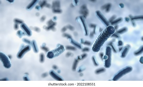 Microorganism Cells Floating Inside Human Body Under Microscope, 3d Rendering Bacteria Organisms Biological Scientific Background, Salmonella Disease Concept 3D Illustration