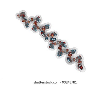 MicroRNA (miRNA) Molecule, Molecular Model