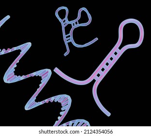 MicroRNA Or MiRNA Is A Small Single-stranded Non-coding RNA Molecule That Functions In RNA Silencing And Post-transcriptional Regulation Of Gene Expression. 3d Rendering