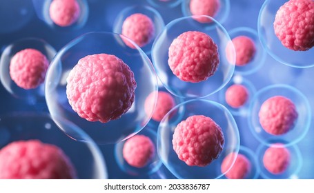 Microscope Of Cell, Embryonic Stem Cells, Cellular Therapy And Regeneration 3d Illustration.