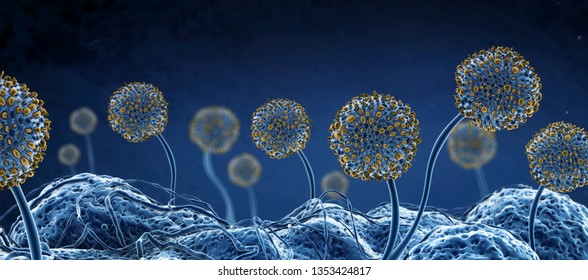 Microscopic image of growing molds or mold fungus and spores - 3d illustration