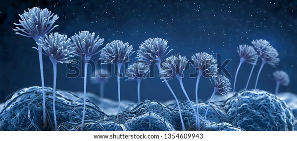 Microscopic image of growing molds or mold\
fungus and spores - 3d\
illustration