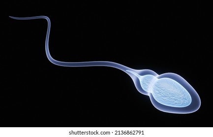 Microscopic Scientific Visualization of Reproductive Fertilization, Sperm Penetrating Egg Cell, Biological Conception and Human Fertility Research, 3D Rendering
