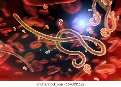 Microscopic view of the ebola virus. 3D illustration