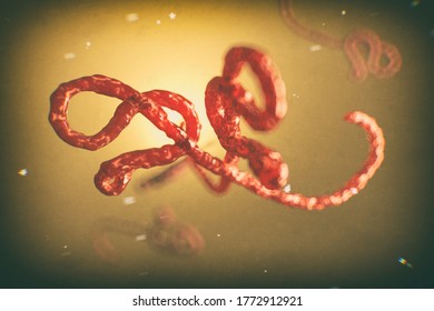 Microscopic view of the ebola virus, 3d illustration