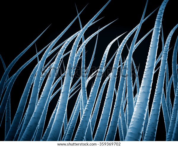 Microscopic View Human Hair Stock Illustration 359369702