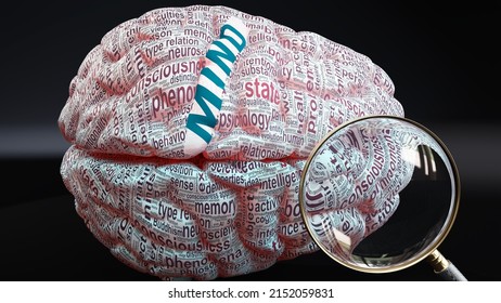 Mind in human brain, a concept showing hundreds of crucial words related to Mind projected onto a cortex to fully demonstrate broad extent of this condition, 3d illustration