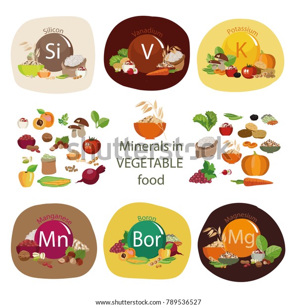 Minerals Plant Foods Composition Minerals Organic Stock Illustration ...