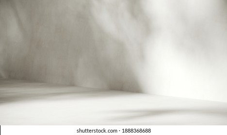 Minimal abstract background for product presentation. Sunshade shadow on white plaster wall. 3d render illustration. Clipping path of each element included.