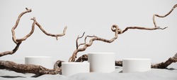 Minimal Mockup Background For Product Presentation. Podium And Dry Tree Twigs On White Sand Beach. 3d Rendering Illustration. Clipping Path Of Each Element Included.