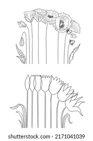 Minimalist Botanical Graphic Drawing. Stylized Poppy And Tulip. Stages Of Development. Birth, Growth, Death. 