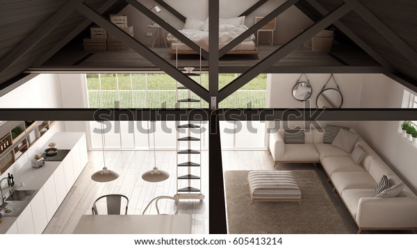 Minimalist Mezzanine Loft Kitchen Living Bedroom