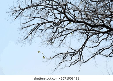 Minimalist stylized illustration of bare tree branches extending across a clear blue sky. Decorative design ideal for seasonal concepts, nature themes, backgrounds, and modern wall art