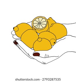 Minimalist vector illustration of two hands holding a pile of ripe yellow lemons, with one lemon cut in half. Line art doodle style with a pop of color, isolated on a white background.