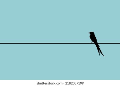 Minimalistic Bird Silhouette, Bird On A Wire Illustration. Birds Silhouette, Alone Birds Sitting On A Wire, Isolated.