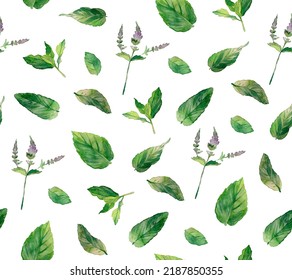 Mint Leaves Watercolor. Seamless Spearmint Pattern.