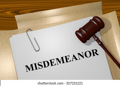 Misdemeanor Title On Legal Documents