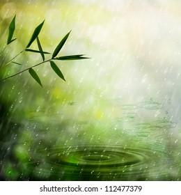 Misty Rain In The Bamboo Forest. Abstract Natural Backgrounds