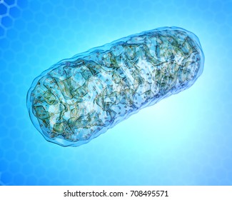 Mitochondria. 3d image
