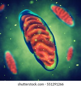 Mitochondria , Cell Energy , Mitochondrial Disease , 3d Illustration