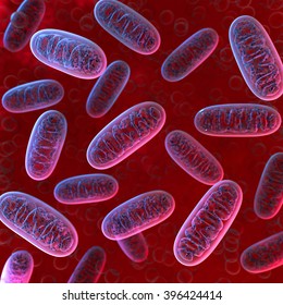 Mitochondria - Microbiology 3d Illustration