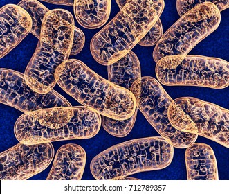Mitochondria - microbiology 3d illustration
