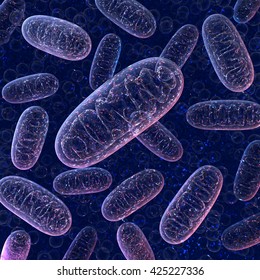 Mitochondria On A Dark Blue Background. 3d Illustration