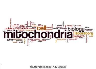 Mitochondria Word Cloud Concept