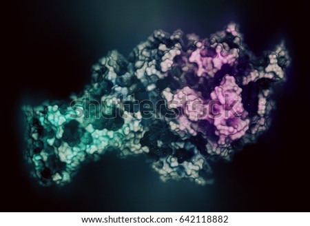 Mitochondrial complex II (succinate dehydrogenase, avian) Enzyme. Participates in citric acid cycle and electron transport chain. 3D rendering based on protein data bank entry 2h89. Stock photo © 