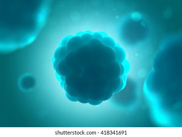 Mitosis Under Microscope (3D Illustration)