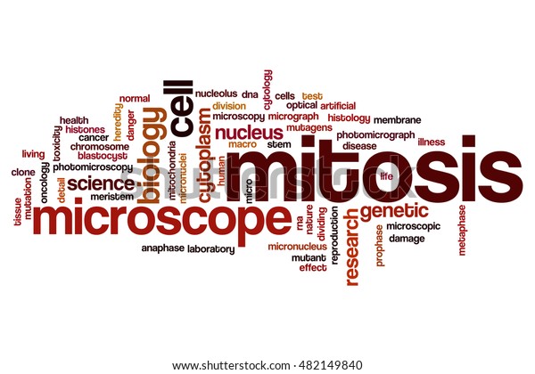 Mitosis word cloud\
concept