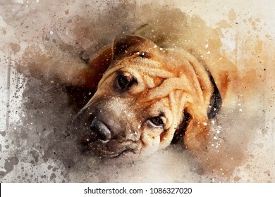 2,339 Watercolour dog Images, Stock Photos & Vectors | Shutterstock