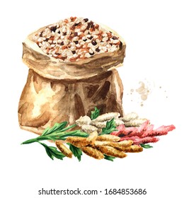 Mixed Quinoa Seeds In The Paper Sack And Quinoa Plant. Hand Drawn Watercolor Illustration, Isolated On White Background