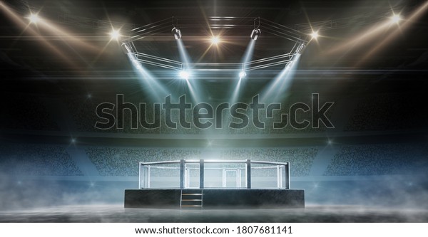 MMA cage night. Fighting Championship. Fight night.\
3D render MMA arena. View of the arena by spotlights. Full tribune.\
Sport