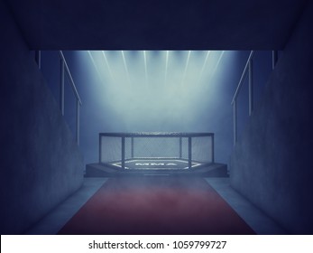 MMA Fight Cage Lit By Spotlights, Mixed Martial Arts Arena Entrance, 3d Illustration