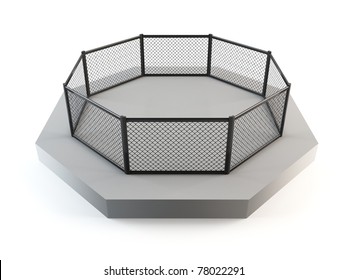 MMA Octagon Ring