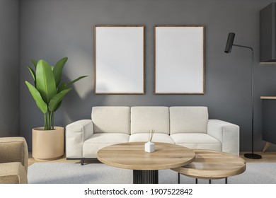 Mockup Canvas Frames In Grey Living Room With White Sofa And Armchairs, Coffee Table On Carpet, Parquet Floor. Living Room With Plant Near White Couch, 3D Rendering No People