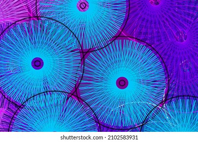 A Mod Style Blue Purple Heart Shapes Lines Swirl Circle Shape Wheel Pattern Abstract Art Background