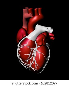 Model Of Artificial Human Heart