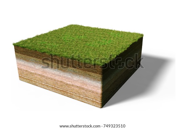 Model Cross Section Ground Grass 3d Stock Illustration 749323510 ...