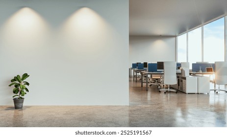 Modern, minimalist open office space with a lone indoor plant and sunlight streaming through large windows.
