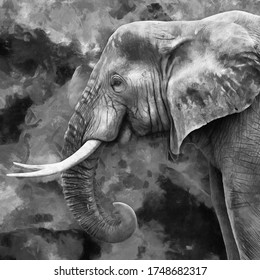 Modern Oil Black & White Painting Of Elephant, Artist Collection Of Animal Painting For Decoration And Interior, Canvas Art, Abstract.